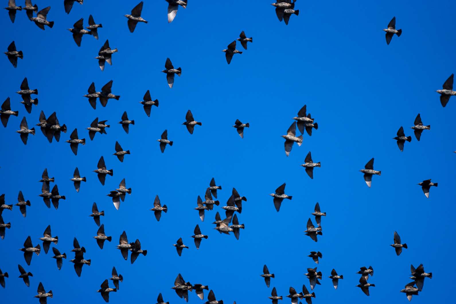 20160921 131538 Kap Arkona   Putgarten